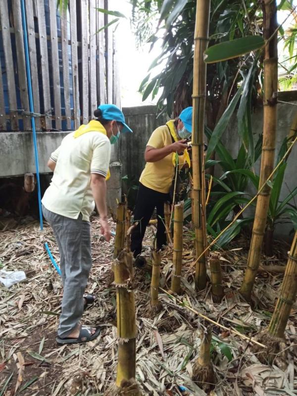 28/7/66 จนท.รพ.สต.บ้านสันป่าไร่ร่วมกับผู้นำชุมชน อสม. ,ประชาชนและชาวต่างชาติในพื้นที่หมู่ที่ 5 บ้านสันป่าไร่ รวมทั้งส่วนราชการในพื้นที่ ( อบต.พระธาตุและตชด.) จัดกิจกรรมจิตอาสา ป้องกันโรคไข้เลือดออก เนื่องในวันเฉลิมพระชนมพรรษา พระบาทสมเด็จพระเจ้าอยู่หัว รั