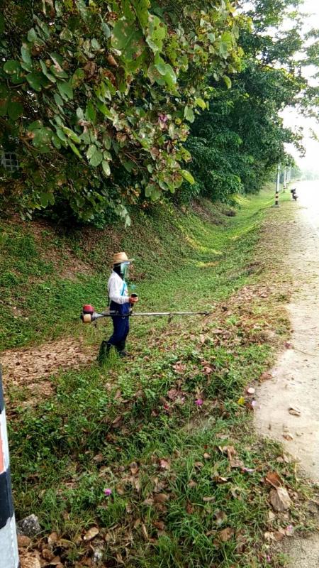 ดำเนินการตัดหญ้าและปรับแต่งภูมิทัศน์บริเวณสนามกีฬา อบจ.ตาก