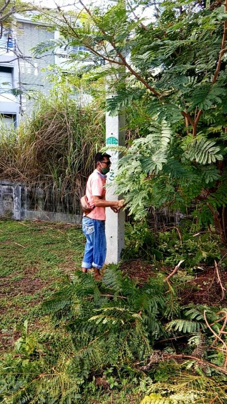 ดำเนินการตัดแต่งกิ่งไม้ที่พาดกับเสาไฟฟ้าและปรับปรุงภูมิทัศน์บริเวณรอบสนามกีฬา อบจ.ตาก และดำเนินการตัดแต่งต้นไม้ บริเวณสถานีขนส่งผู้โดยสารจังหวัดตาก