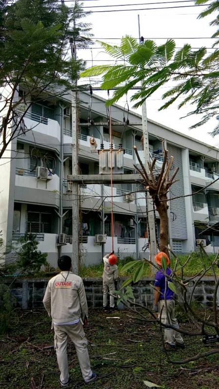 ดำเนินการตัดแต่งกิ่งไม้ที่พาดกับเสาไฟฟ้าและปรับปรุงภูมิทัศน์บริเวณรอบสนามกีฬา อบจ.ตาก และดำเนินการตัดแต่งต้นไม้ บริเวณสถานีขนส่งผู้โดยสารจังหวัดตาก