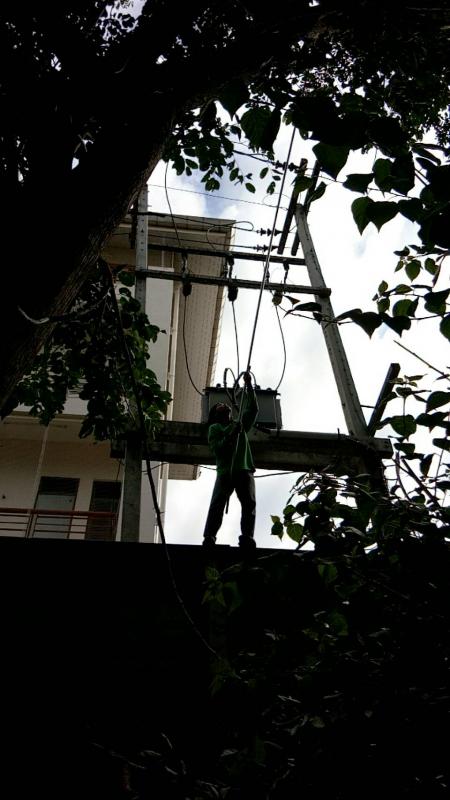 ดำเนินการตัดแต่งกิ่งไม้ที่พาดกับเสาไฟฟ้าและปรับปรุงภูมิทัศน์บริเวณรอบสนามกีฬา อบจ.ตาก และดำเนินการตัดแต่งต้นไม้ บริเวณสถานีขนส่งผู้โดยสารจังหวัดตาก