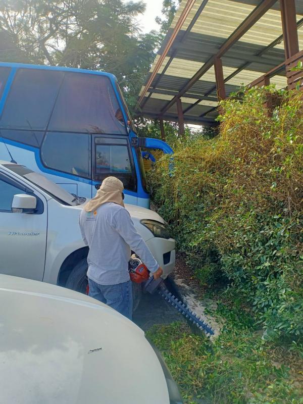 ดำเนินการตัดแต่งกิ่งไม้ที่พาดกับเสาไฟฟ้าและปรับปรุงภูมิทัศน์บริเวณรอบสนามกีฬา อบจ.ตาก และดำเนินการตัดแต่งต้นไม้ บริเวณสถานีขนส่งผู้โดยสารจังหวัดตาก