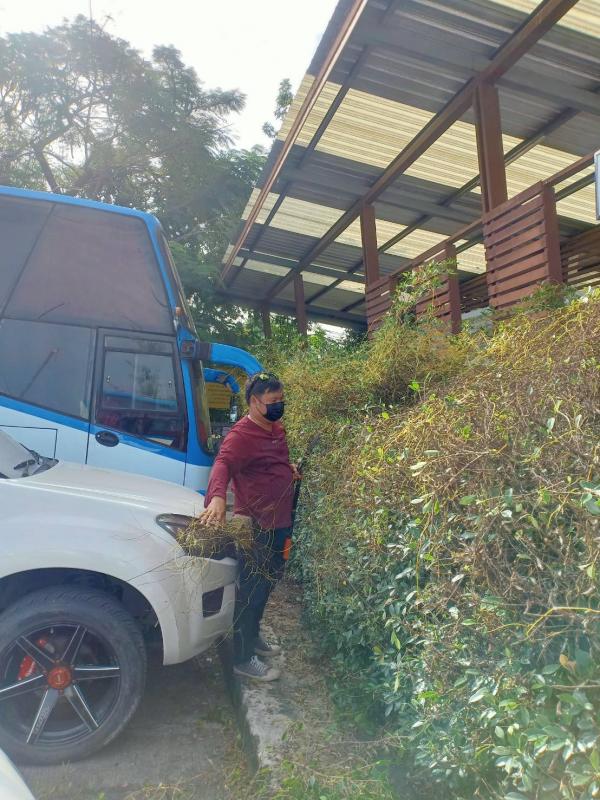 ดำเนินการตัดแต่งกิ่งไม้ที่พาดกับเสาไฟฟ้าและปรับปรุงภูมิทัศน์บริเวณรอบสนามกีฬา อบจ.ตาก และดำเนินการตัดแต่งต้นไม้ บริเวณสถานีขนส่งผู้โดยสารจังหวัดตาก