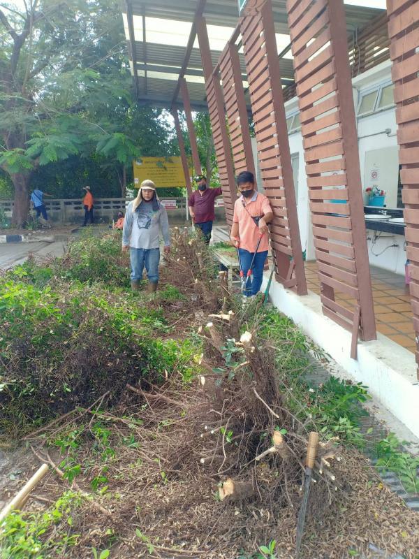 ดำเนินการตัดแต่งกิ่งไม้ที่พาดกับเสาไฟฟ้าและปรับปรุงภูมิทัศน์บริเวณรอบสนามกีฬา อบจ.ตาก และดำเนินการตัดแต่งต้นไม้ บริเวณสถานีขนส่งผู้โดยสารจังหวัดตาก