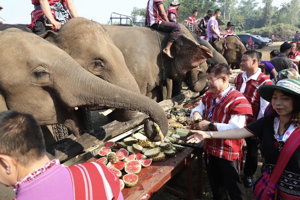 นายกองค์การบริหารส่วนจังหวัดตาก เป็นประธานเปิดโครงการส่งเสริมการท่องเที่ยว(วันช้างไทย) ณ บ้านพะยอ หมู่ 5 ตำบลวาเล่ย์ อำเภอพบพระ จังหวัดตาก