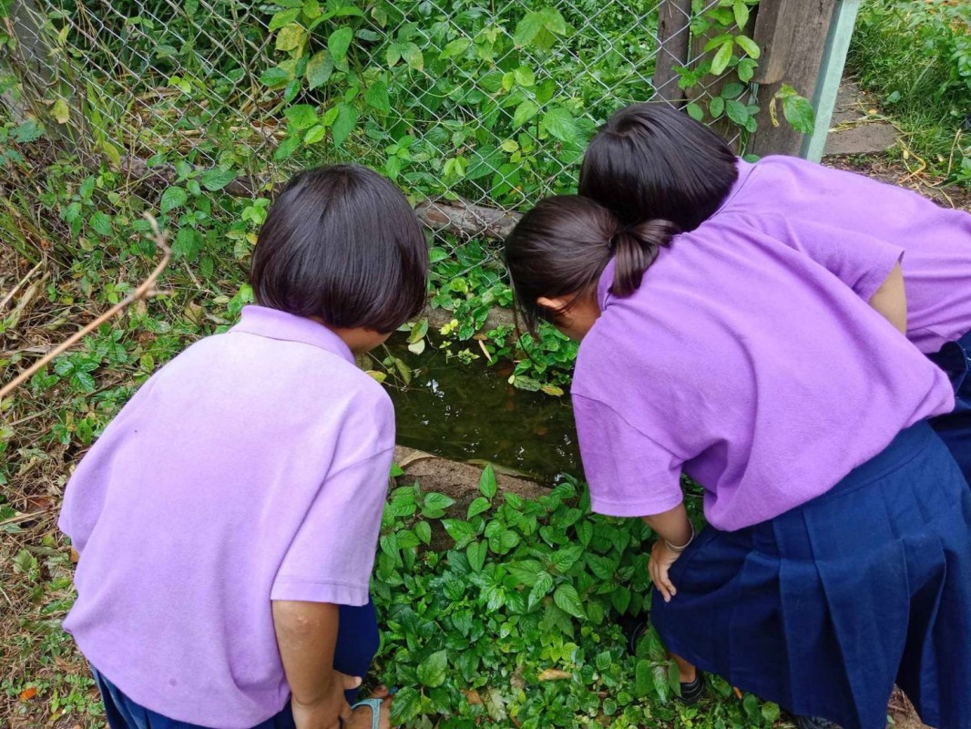 10 มิ.ย. 67 รพ.สต.บ้านสันป่าไร่ร่วมกับอาสาสมัครสาธารณสุขหมู่ที่2,3และ5 รณรงค์สำรวจและทำลายแหล่งเพาะพันธ์ลูกน้ำยุงลาย รอบที่ 1 ประจำเดือน มิถุนายน 2567