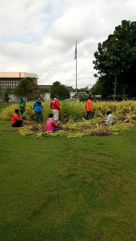ดำเนินการปรับปรุงภูมิทัศน์พร้อมจัดแต่งสวน บริเวณทางเข้า อบจ.ตาก