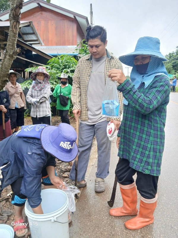 12 ส.ค. 67 จนท.รพ.สต.บ้านสันป่าไร่ร่วมกับผู้นำชุมชนและประชาชน ม.3บ้านป่าไร่เหนือ ร่วมกิจกรรมจิตอาสา แม่ของแผ่นดิน รณรงค์สำรวจและทำลายแหล่งเพาะพันธ์ลูกน้ำยุงลาย เนื่องในวันแม่แห่งชาติ