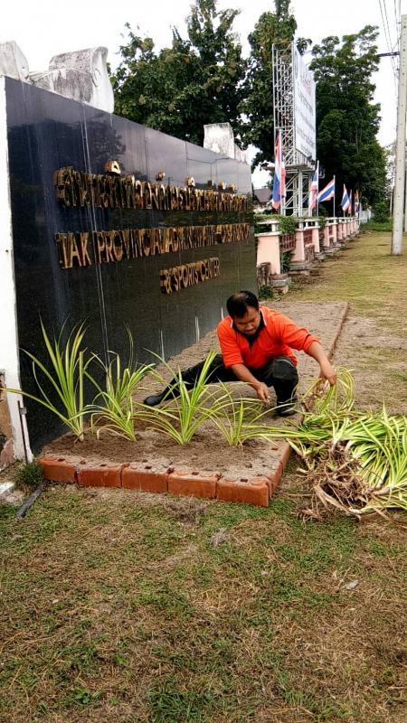 ดำเนินการปรับปรุงภูมิทัศน์พร้อมจัดแต่งสวน บริเวณทางเข้า อบจ.ตาก