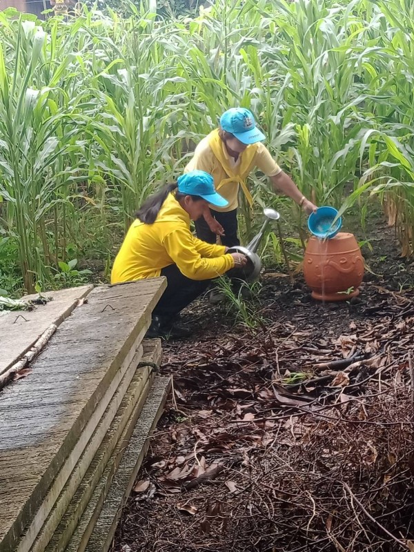 12 ส.ค. 67 อสม.ม.5บ้านสันป่าไร่ร่วมกับผู้นำชุมชน รณรงค์สำรวจและทำลายแหล่งเพาะพันธ์ลูกน้ำยุงลาย เนื่องในวันแม่แห่งชาติ