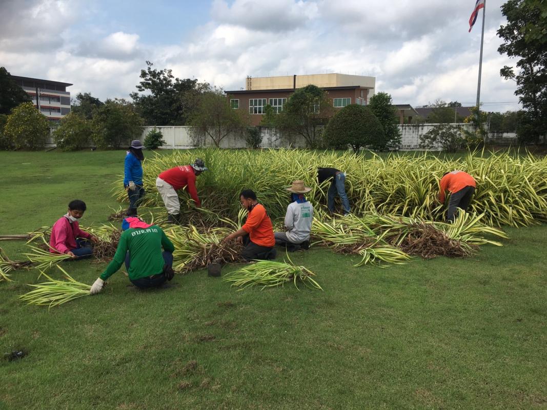 ดำเนินการปรับปรุงภูมิทัศน์พร้อมจัดแต่งสวน บริเวณทางเข้า อบจ.ตาก