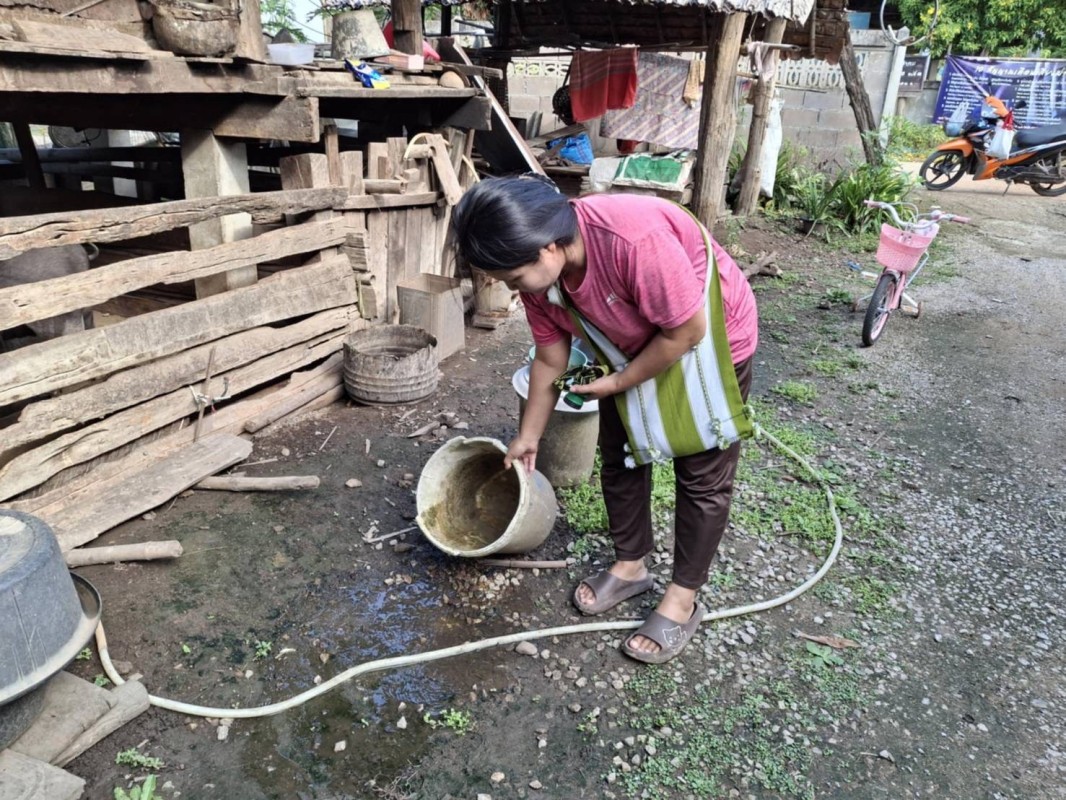 18 ตค. 67 จนท.รพ.สต.บ้านสันป่าไร่ร่วมกับอาสาสมัครสาธารณสุขหมู่ที่ 2 บ้านตีนธาตุ, หมู่ที่3 บ้านป่าไร่เหนือและหมู่ที่ 5 บ้านสันป่าไร่ รณรงค์สำรวจและทำลายแหล่งเพาะพันธ์ลูกน้ำยุงลาย รอบที่ 2 เดือนตุลาคม 67