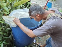 11/12/67 รพ.สต.บ้านสันป่าไร่ร่วมกับอาสาสมัครหมู่ที่2,3และ5 สำรวจและทำลายแหล่งเพาะพันธ์ลูกน้ำยุงลาย รอบที่ 1 เดือนธันวาคม 67