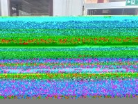 21 ม.ค.68 รพ.สต.บ้านสันป่าไร่ ให้บริการเจาะเลือด,วัดความดันโลหิต ผู้ป่วยเบาหวาน