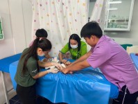 12 มี.ค.68 รพ.สต.บ้านสันป่าไร่ ให้บริการฉีดวัคซีนเด็ก อายุ 2 เดือน ถึง 4 ปี จำนวน 29 คน และตรวจสุขภาพช่องปาก , เคลือบฟลูออไรด์ , ให้ทันตสุขศึกษาแก่ผู้ปกครองเด็ก , เจาะเลือดตรวจ Hct , จ่ายยา para syr และ ferrous syr