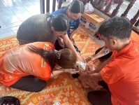 15 พ.ค.2568 รพ.สต.บ้านสันป่าไร่ ออกหน่วยฉีดวัคซีนเด็ก อายุ 2 เดือน ถึง 4 ปี เขต สสช.ห้วยกระทิง (หมู่ 6 ตำบลพระธาตุ)จำนวน 12 ราย ,เจาะเลือดตรวจ hct , จ่ายยา para syr , ferrous syr และ ประชุม อสม.หมู่ 6 บ้านห้วยกระทิง