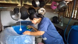 26 พฤษภาคม 2568 รพ.สต.บ้านสันป่าไร่ร่วมกับอาสาสมัครสาธารณสุข หมู่ที่ 3 บ้านป่าไร่เหนือ สำรวจและทำลายแหล่งเพาะพันธ์ลูกน้ำยุงลาย 100 เมตร รอบบ้านงานศพ จำนวน 11 หลัง จำนวนภาชนะทั้งหมด 87 ชิ้น พบ 2 ชิ้น ภาชนะที่พบทำลายทิ้งเรียบร้อยแล้ว