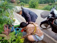 18 มิถุนายน 2568 รพ.สต.บ้านสันป่าไร่ ร่วมกับอาสาสมัครสาธารณสุข หมู่ที่ 2,3,5,6และ7 รณรงค์สำรวจและทำลายแหล่งเพาะพันธ์ลูกน้ำยุงลาย รอบที่ 2 เดือน มิถุนายน 2568