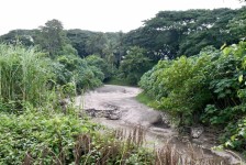 นายก อบจ.ตาก (นายกจอย) ลงสำรวจพื้นที่ ต.ยกกระบัตร อ.สามเงา เสริมคันคลองป้องกันน้ำล้นและโครงการเสริมแนวคันดินกั้นน้ำวัง 