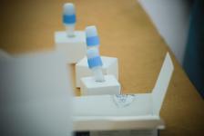 อบจ.ตาก ตรวจคัดกรองด้วยชุดตรวจ Atigen Test Kid (ATK) ให้แก่บุคลากรในสังกัด ตามนโยบาย นายก อบจ.ตาก เพื่อป้องกันการแพร่ระบาดของโรค covid-19