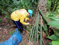 2 สิงหาคม 2568 รพ.สต.บ้านสันป่าไร่ ร่วมกับอาสาสมัครสาธารณสุข ผู้นำชุมชน จิตอาสา และประชาชนทั่วไป หมู่ที่ 2,3,5,6และ7 ตำบลพระธาตุ รณรงค์สำรวจ และทำลายแหล่งเพาะพันธ์ลูกน้ำยุงลาย ปรับปรุงสภาพภูมิทัศน์ภายในหมู่บ้าน เนื่องในวันแม่แห่งชาติ