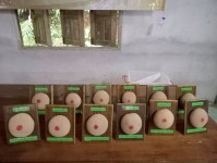 31 สิงหาคม 2568 นางอัจฉรา ทวีเกื้อกูลกิจ นายกองค์การบริหารส่วนจังหวัดตาก มอบหมายให้ รพ.สต.บ้านสันป่าไร่ โดยนางเสาร์แก้ว อ่วมพิทยา เจ้าพนักงานสาธารณสุข เป็นวิทยากรอบรมให้ความรู้โครงการพระราชดำริด้านสาธารณสุข โครงการสืบสานพระราชปณิธานสมเด็จย่าต้านภัยมะเร็งเ