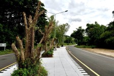 นายกจอย (นายกอบจ.ตาก) ตรวจติดตามโครงการปรับปรุงถนนโดยซ่อมแซมเป็นผิวทางแอสฟัลท์ติกคอนกรีต (Overlay) พื้นที่ อ.แม่สอด - อ.แม่ระมาด งบประมาณ 1,949,000 บาท