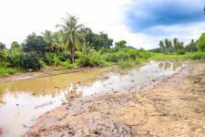 นายกจอย (นายกอบจ.ตาก)  ตรวจติดตามการทำงานของเครื่องจักร งานกำจัดวัชพืชที่ขวางทางน้ำ พื้นที่ ลำห้วยแม่สลิด งบประมาณ 77,784 บาท