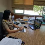 เข้าร่วมการประชุมพัฒนาระบบเฝ้าระวังระดับอำเภอ และท้องถิ่น พื้นที่เขตสุขภาพที่ 2