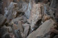 นายกองค์การบริหารส่วนจังหวัดตาก ได้มอบหมายให้ สำนักช่าง องค์การบริหารส่วนจังหวัดตาก นำเจ้าหน้าที่ ลงพื้นที่ร่วมดำเนินการ จัดเรียงหินกรวด ในบริเวณ ไม้กลายเป็นหิน ต้นที่ 1