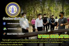 นายณัฐวุฒิ ทวีเกื้อกูลกิจ นายกองค์การบริหารส่วนจังหวัดตาก ในฐานะผู้อำนวยการอุทยานธรณีไม้กลายเป็นหินตากพร้อมด้วย ว่าที่ ดร.ฑีฆะพล ทวีเกื้อกูลกิจ รองนายกองค์การบริหารส่วนจังหวัดตาก นำเจ้าหน้าที่ ร่วมดำเนินการ จัดเรียงหินกรวด ในบริเวณ ไม้กลายเป็นหิน ต้นที่ 1