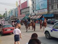 ขบวนแห่โครงการบรรพชาสามเณรภาคฤดูร้อนเฉลิมพระเกียรติ