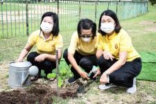 นายก อบจ.ตาก เป็นประธานในพิธีเปิดงาน “วันต้นไม้ประจำปีของชาติ พ.ศ.2565”