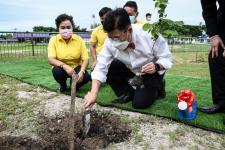 นายก อบจ.ตาก เป็นประธานในพิธีเปิดงาน “วันต้นไม้ประจำปีของชาติ พ.ศ.2565”