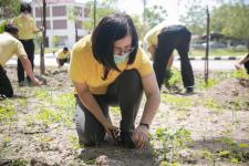 นายกองค์การบริหารส่วนจังหวัดตาก เป็นประธานในพิธีเปิดกิจกรรมทำความสะอาด (Big Cleaning Day) เนื่องในวันอนามัยสิ่งแวดล้อมไทย ปี 2565