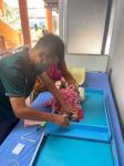 รพ.สต.บ้านสันป่าไร่ ฉีดวัคซีนเด็กอายุ0-5ปี,ตรวจสุขภาพช่องปาก,เคลือบฟลูออไรด์,เจาะเลือดตรวจhct,จ่ายยาpara syr,ferrous syr และแจกของให้เด็ก ๆ ทุกคน