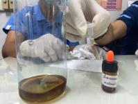 21/4/66 จนท.รพ.สต.บ้านสันป่าไร่เข้าร่วมอบรมโครงการพัฒนาเครือข่ายวิทยาศาสตร์การแพทย์ชุมชนผ่านทางระบบออนไลน์Application Zoom จัดโดยศูนย์วิทยาศาสตร์การแพทย์ที่ 2 พิษณุโลก