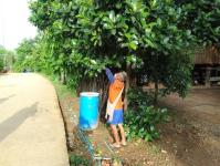 5/6/66 จนท.รพ.สต.บ้านสันป่าไร่ ร่วมกับผู้นำชุมชน ชาวบ้านและอาสาสมัครสาธารณสุขหมู่ที่ 2 บ้านตีนธาตุ หมู่ที่ 3 บ้านป่าไร่เหนือและหมู่ที่ 5 บ้านสันป่าไร่ พัฒนาสิ่งแวดล้อมภายในชุมชนและรณรงค์สำรวจและทำลายแหล่งเพาะพันธ์ลูกน้ำยุงลาย เนื่องในวันสิ่งแวดล้อมโลก