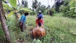 18/6/66 จนท.รพ.สต.บ้านสันป่าไร่ร่วมกับอสม.ม.3บ้านจบปิ ควบคุมโรคไข้เลือดออกรอบ2 เคสดญ.เพ็ญพิชชา ธาราคีรีและรอบแรก ดช.ณัฐคุณ พงษ์ไทย