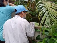 18/6/66 จนท.รพ.สต.บ้านสันป่าไร่ร่วมกับอสม.ม.3บ้านจบปิ ควบคุมโรคไข้เลือดออกรอบ2 เคสดญ.เพ็ญพิชชา ธาราคีรีและรอบแรก ดช.ณัฐคุณ พงษ์ไทย