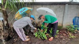 18/6/66 จนท.รพ.สต.บ้านสันป่าไร่ร่วมกับอสม.ม.3บ้านจบปิ ควบคุมโรคไข้เลือดออกรอบ2 เคสดญ.เพ็ญพิชชา ธาราคีรีและรอบแรก ดช.ณัฐคุณ พงษ์ไทย