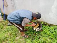 23/6/66 จนท.รพ.สต.บ้านสันป่าไร่ร่วมกับอสม.ม.3บ้านป่าไร่เหนือ ควบคุมโรครอบ2 เคสนางจ้าวา ภูมิพระธาตุ