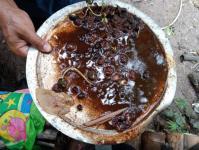 23/6/66 จนท.รพ.สต.บ้านสันป่าไร่ร่วมกับอสม.ม.3บ้านป่าไร่เหนือ ควบคุมโรครอบ2 เคสนางจ้าวา ภูมิพระธาตุ