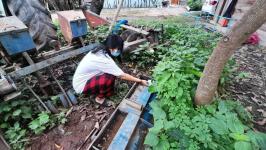 25/6/66 จนท.รพ.สต.บ้านสันป่าไร่ร่วมกับอสม.ม.3 บ้านจบปิ ควบคุมโรคไข้เลือดออก รอบ 2 เคสดช.ณัฐคุณ พงษ์ไทย