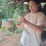 10/7/66 จนท.รพ.สต.บ้านสันป่าไร่ ร่วมกับอสม.ม.2บ้านตีนธาตุ ควบคุมโรคไข้เลือดออก รอบแรกเคส นส.ชนิดา เจนชลธี เคสผู้ป่วยอำเภอแม่สอดกลับมารักษาที่รพ.แม่ระมาด