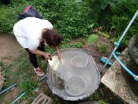 30/7/66 จนท.รพ.สต.บ้านสันป่าไร่ร่วมกับอสม.ม.3บ้านป่าไร่เหนือ ควบคุมโรคไข้เลือดออกรอบที่1 พร้อมทั้งสอบสวนโรคเคสนางรัตนา พิทักษ์พิบูลย์ศรี