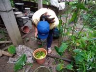 30/7/66 จนท.รพ.สต.บ้านสันป่าไร่ร่วมกับอสม.ม.3บ้านป่าไร่เหนือ ควบคุมโรคไข้เลือดออกรอบที่1 พร้อมทั้งสอบสวนโรคเคสนางรัตนา พิทักษ์พิบูลย์ศรี