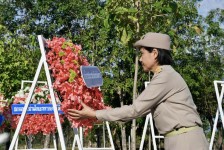ผู้อำนวยการกองยุทธศาสตร์และงบประมาณ เข้าร่วมพิธีวางพวงมาลา เนื่องในวันทหารผ่านศึก 