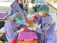 13 มี.ค.67 จนท.ทันตสาธารณสุข รพ.สต.บ้านสันป่าไร่ ร่วมกับทีมทันตกรรม อ.แม่ระมาด ออกหน่วยทันตกรรมเคลื่อนที่ รร.บ้านห้วยกระทิง ให้บริการรักษาทางทันตกรรมแก่นักเรียน จำนวน 69 รายและคณะครู จำนวน 5 ราย มีรายละเอียด ดังนี้ ขูดหินน้ำลาย จำนวน 40 ราย อุดฟัน จำนวน 2