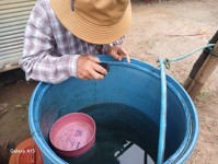 12 ส.ค. 67 จนท.รพ.สต.บ้านสันป่าไร่ร่วมกับผู้นำชุมชนและประชาชน ม.3บ้านป่าไร่เหนือ ร่วมกิจกรรมจิตอาสา แม่ของแผ่นดิน รณรงค์สำรวจและทำลายแหล่งเพาะพันธ์ลูกน้ำยุงลาย เนื่องในวันแม่แห่งชาติ